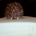 Torta tres chocolates