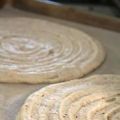 PLANCHAS DE BIZCOCHO DOBOS