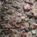 PAELLA DE FAVES I CARXOFES