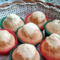 Magdalenas clásicas - Traditional Muffins