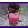 COCTEL FANTASIA