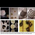 BIZCOCHO LEOPARDO CAKEPOPS
