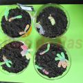 Mousse de chocolate con bichos