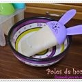 Polos de horchata