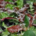 ENSALADA DE BROTES TIERNOS CON IBÉRICO Y[...]