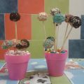 CURSO DE CAKE POPS EN CFP VERGE DE CORTES