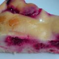 Pastel de queso blanco, frutos rojos y[...]