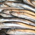 CAZUELA MALAGUEÑA DE BOQUERONES