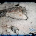 Dorada a la sal