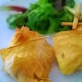 Masa Filo rellena con pollo, queso y almendras
