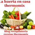 La huerta en casa con thermomix (Recopilatorio)