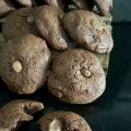 Chocolate Chip Brownie Cookies: Galletas[...]