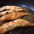 Salmonetes