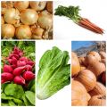 Frutas y verduras de temporada: julio