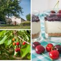 Le temps de cerises: verrines de cheesecake aux[...]