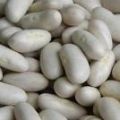CONSEJO DE ALIMENTOS : JUDÍAS