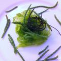 Catas con arte: algas y monstruos marinos