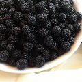 Mermelada de moras