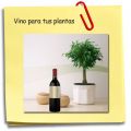 Vino para tus plantas