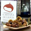 Un producto, tantas cosas por descubrir: En el[...]