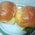 351   PANECILLOS DE HAMBURGUESA