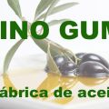 Molino Gumiel