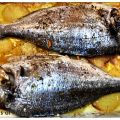Doraditas al horno