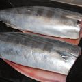 Conserva de bonito en aceite