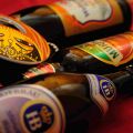 ¿Cómo se hace la cerveza?