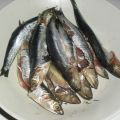 Boquerón, la anchoa de Europa
