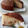 BIZCOCHO DE QUESO CREMOSO Y FRESAS DESHIDRATADAS