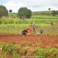 Kalaw, Trekking y Tranquilidad entre Montañas