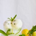 Sorbete de limón y menta en cuenco de hielo[...]