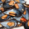 mejillones a la vinagreta / Miesmuscheln 