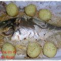 Dorada a la sidra