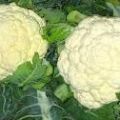 COLIFLOR Y SUS PROPIEDADES