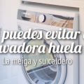 Así Puedes Evitar que Tu Lavadora Huela Mal