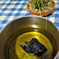 ACEITE AL HUMO