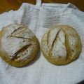 Pan Suizo de Zanahoria