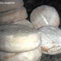 NEVADITOS CASEROS (tipo reglero)
