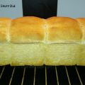 PAN DE MOLDE