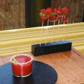 BLOODY MARY CON BROCHETA DE ANCHOAS Y FRESA