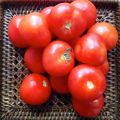 Salmorejo