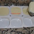 Natillas en thermomix