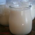 Yogur de Azúcar de Caña