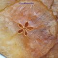 CHIPS CRUJIENTES DE MANZANA