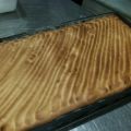 PLANCHAS DE BIZCOCHO
