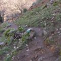 Excursión navideña a los Castaños del Temblar y[...]