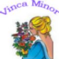 AROMATERAPIA VINCA MINOR