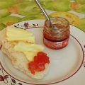 PAN SIN GLUTEN AL MICROONDAS